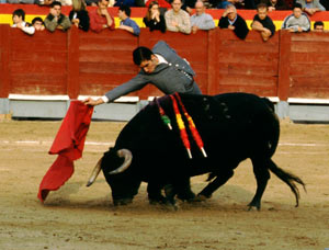 Festival Benéfico Taurino de Chinchón