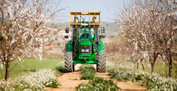 Imagen de campos cultivados