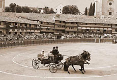 Ruta en coche de caballos