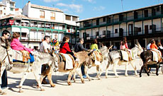 Rutas en burro por Chinchón