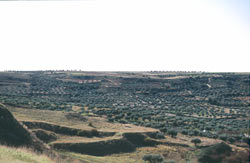 Vista del paisaje de Chinchón